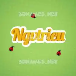 ngvtrieu in Ladybugs style - 3D name wallpaper