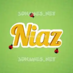 niaz in Ladybugs style - 3D name wallpaper