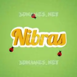 nibras in Ladybugs style - 3D name wallpaper