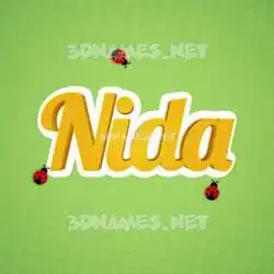 nida in Ladybugs style - 3D name wallpaper