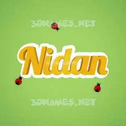 nidan in Ladybugs style - 3D name wallpaper