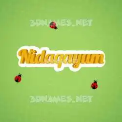 nidaqayum in Ladybugs style - 3D name wallpaper