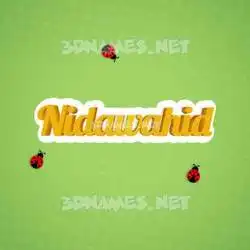 nidawahid in Ladybugs style - 3D name wallpaper