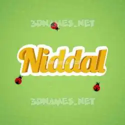 niddal in Ladybugs style - 3D name wallpaper