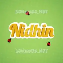 nidhin in Ladybugs style - 3D name wallpaper