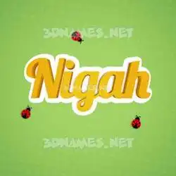 nigah in Ladybugs style - 3D name wallpaper
