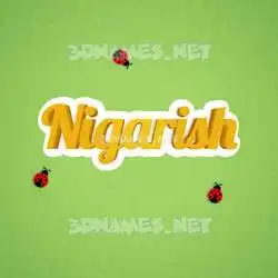 nigarish in Ladybugs style - 3D name wallpaper