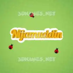 nijamuddin in Ladybugs style - 3D name wallpaper