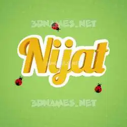 nijat in Ladybugs style - 3D name wallpaper