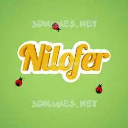 nilofer in Ladybugs style - 3D name wallpaper