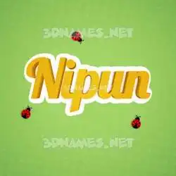 nipun in Ladybugs style - 3D name wallpaper