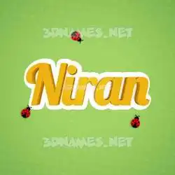 niran in Ladybugs style - 3D name wallpaper