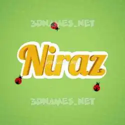 niraz in Ladybugs style - 3D name wallpaper