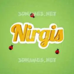 nirgis in Ladybugs style - 3D name wallpaper