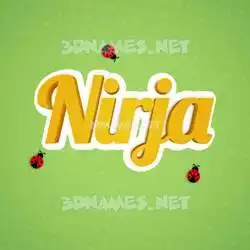 nirja in Ladybugs style - 3D name wallpaper