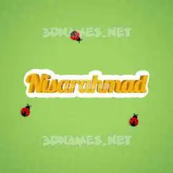 nisarahmad in Ladybugs style - 3D name wallpaper
