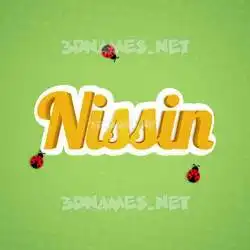nissin in Ladybugs style - 3D name wallpaper