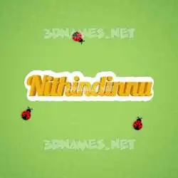 nithindinnu in Ladybugs style - 3D name wallpaper