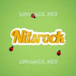 nitsrock in Ladybugs style - 3D name wallpaper