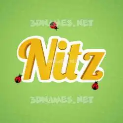 nitz in Ladybugs style - 3D name wallpaper
