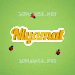niyamat in Ladybugs style - 3D name wallpaper