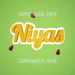 niyas in Ladybugs style - 3D name wallpaper