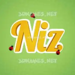 niz in Ladybugs style - 3D name wallpaper