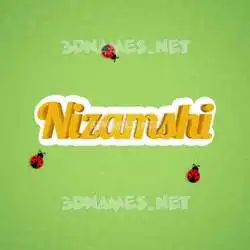 nizamshi in Ladybugs style - 3D name wallpaper
