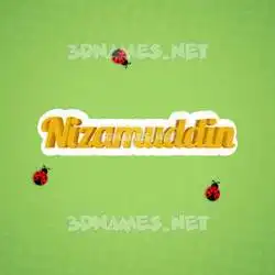 nizamuddin in Ladybugs style - 3D name wallpaper
