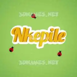 nkepile in Ladybugs style - 3D name wallpaper