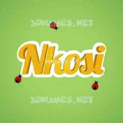 nkosi in Ladybugs style - 3D name wallpaper
