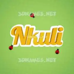 nkuli in Ladybugs style - 3D name wallpaper