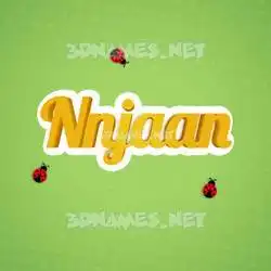 nnjaan in Ladybugs style - 3D name wallpaper