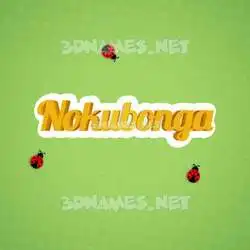 nokubonga in Ladybugs style - 3D name wallpaper