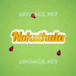 nokuthula in Ladybugs style - 3D name wallpaper