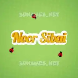 noor sibai in Ladybugs style - 3D name wallpaper