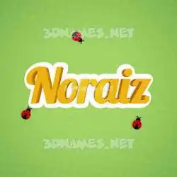 noraiz in Ladybugs style - 3D name wallpaper
