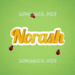 norash in Ladybugs style - 3D name wallpaper