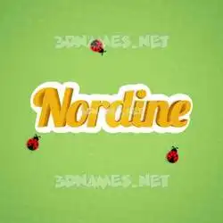 nordine in Ladybugs style - 3D name wallpaper