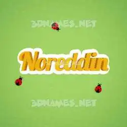 noreddin in Ladybugs style - 3D name wallpaper