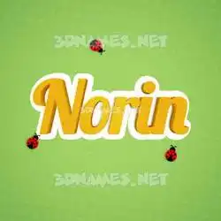 norin in Ladybugs style - 3D name wallpaper