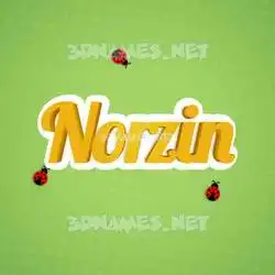 norzin in Ladybugs style - 3D name wallpaper