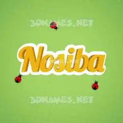 nosiba in Ladybugs style - 3D name wallpaper
