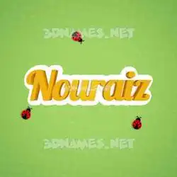 nouraiz in Ladybugs style - 3D name wallpaper