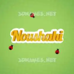noushahi in Ladybugs style - 3D name wallpaper