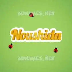 noushida in Ladybugs style - 3D name wallpaper