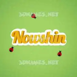 nowshin in Ladybugs style - 3D name wallpaper