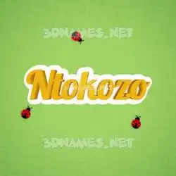 ntokozo in Ladybugs style - 3D name wallpaper