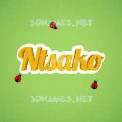 ntsako in Ladybugs style - 3D name wallpaper