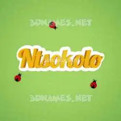 ntsokolo in Ladybugs style - 3D name wallpaper
